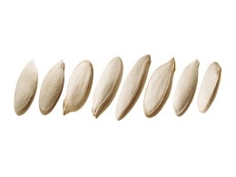 pumpkinseeds